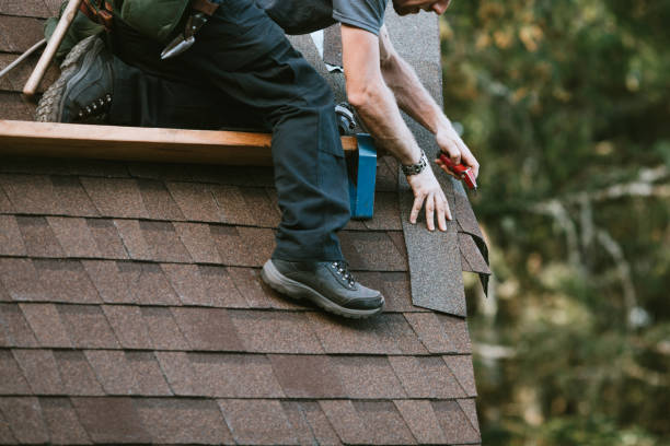 Best Roof Gutter Cleaning  in Reidland, KY